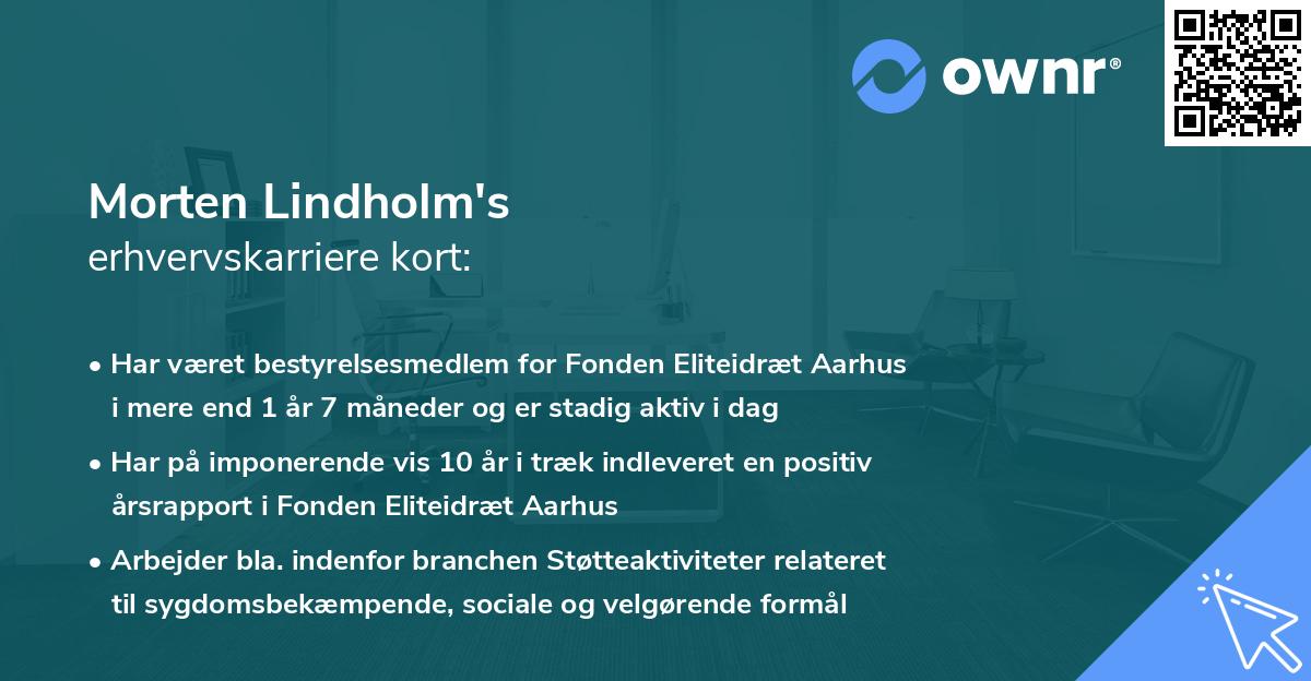 Morten Lindholm's erhvervskarriere kort