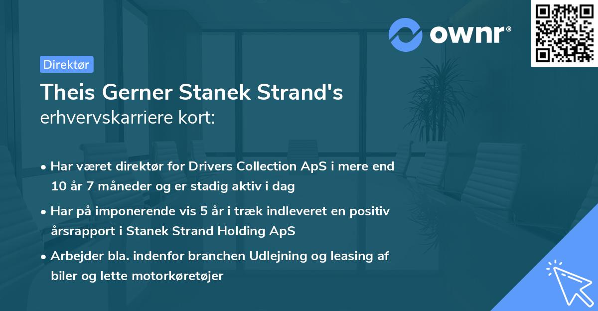 Theis Gerner Stanek Strand's erhvervskarriere kort
