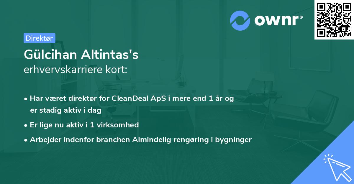 Gülcihan Altintas's erhvervskarriere kort