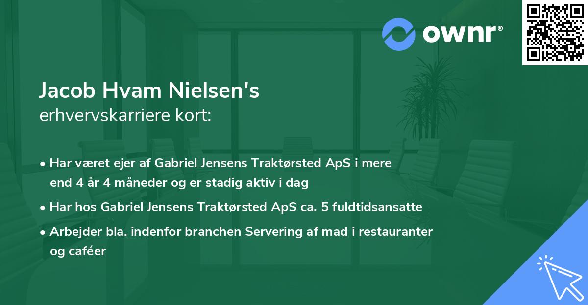 Jacob Hvam Nielsen's erhvervskarriere kort