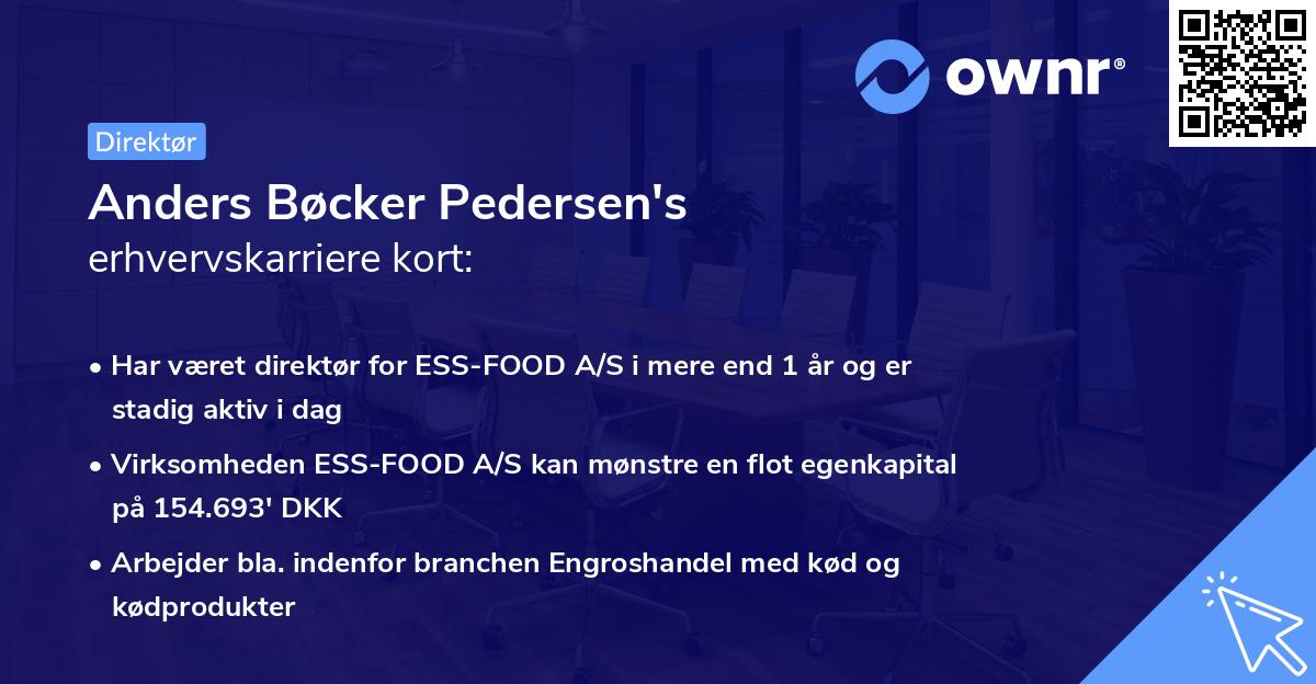 Anders Bøcker Pedersen's erhvervskarriere kort