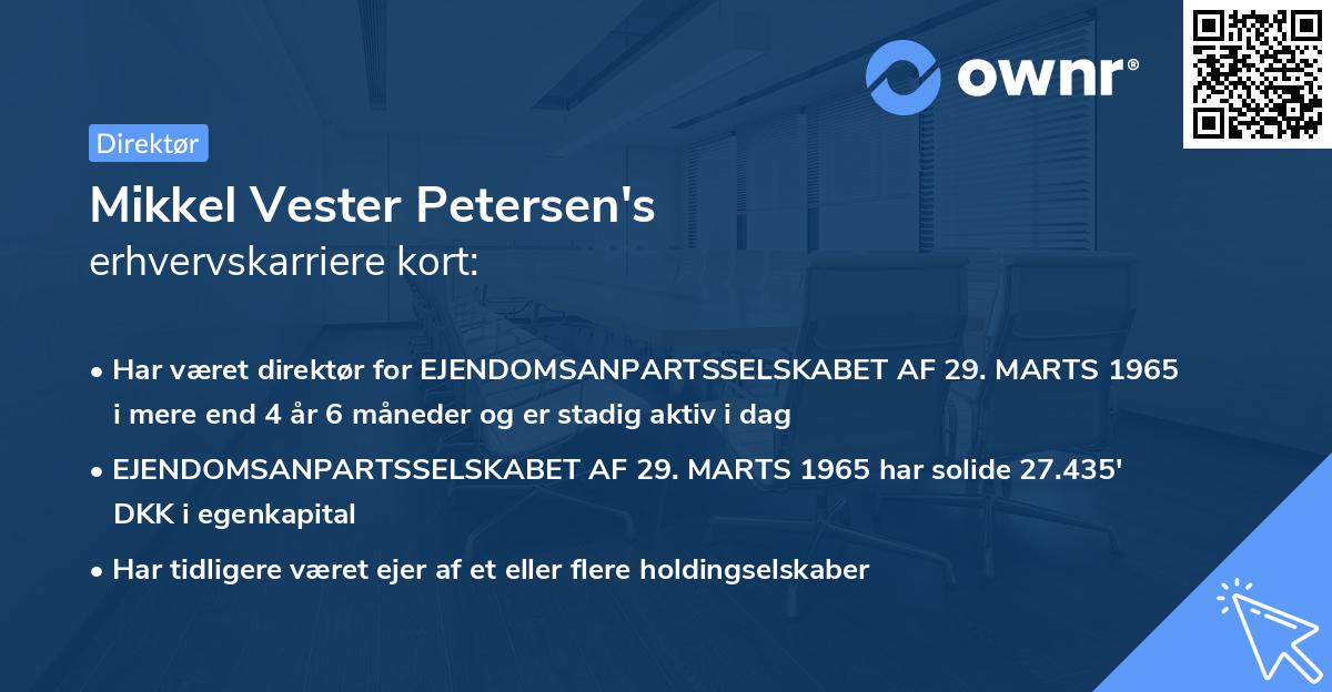 Mikkel Vester Petersen's erhvervskarriere kort