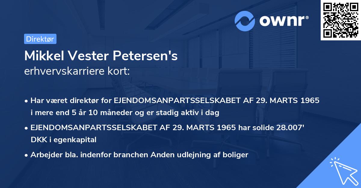 Mikkel Vester Petersen's erhvervskarriere kort