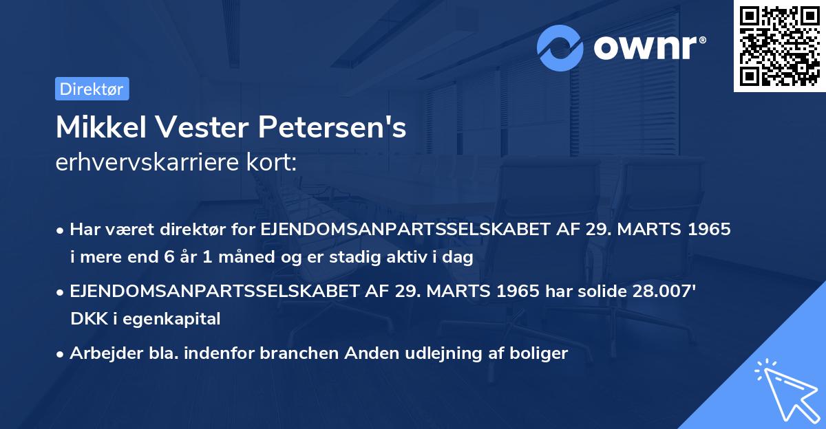 Mikkel Vester Petersen's erhvervskarriere kort