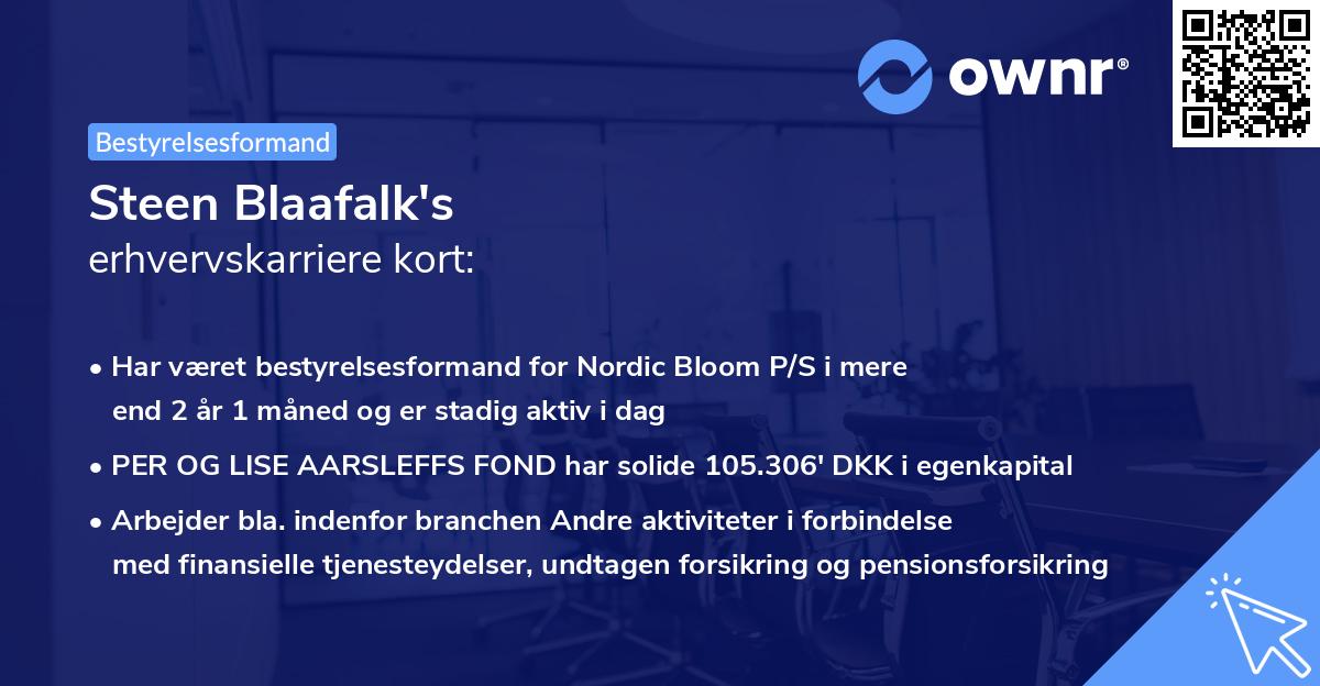 Steen Blaafalk's erhvervskarriere kort