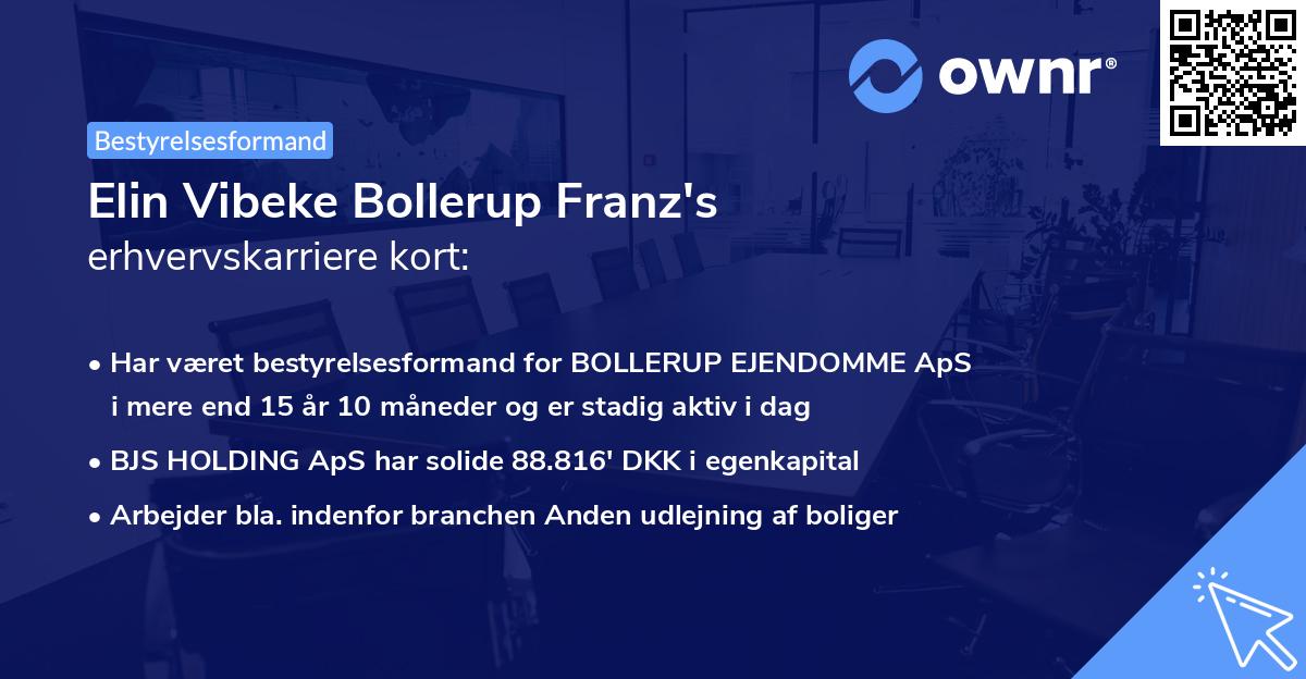 Elin Vibeke Bollerup Franz's erhvervskarriere kort