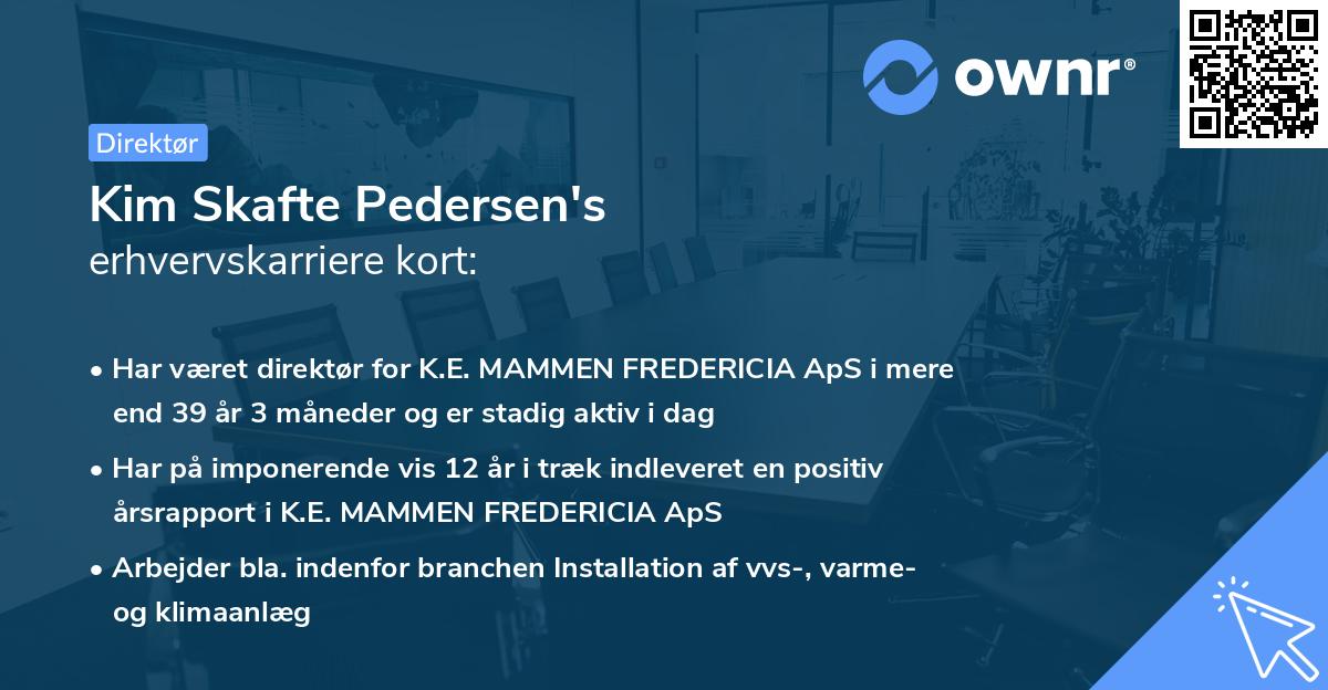 Kim Skafte Pedersen's erhvervskarriere kort