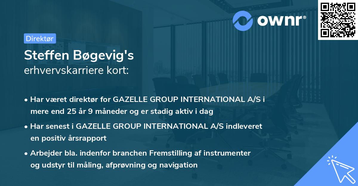 Steffen Bøgevig's erhvervskarriere kort