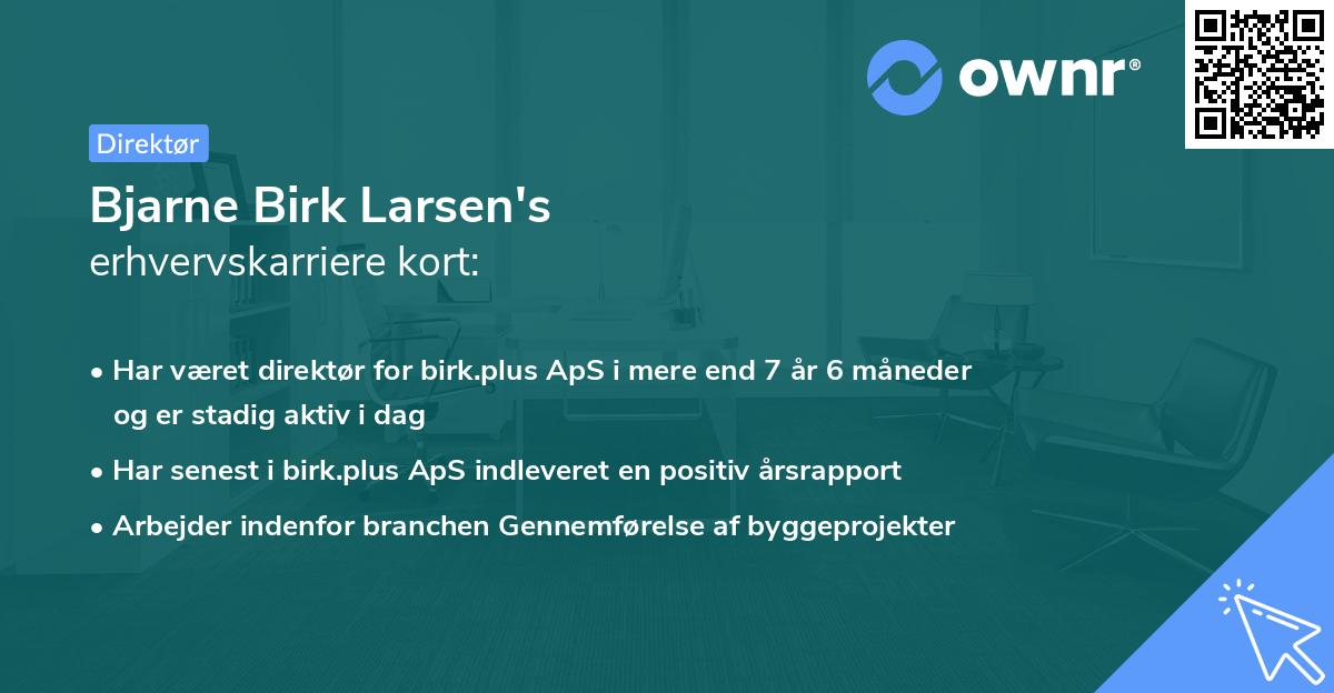 Bjarne Birk Larsen's erhvervskarriere kort