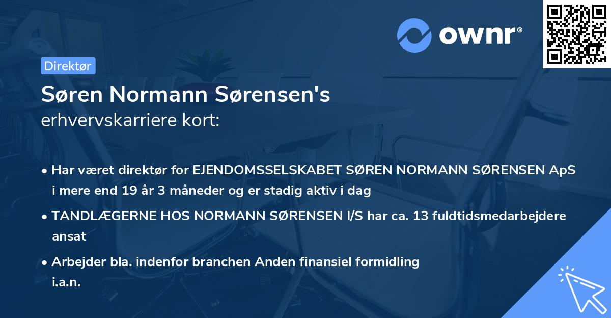 Søren Normann Sørensen's erhvervskarriere kort