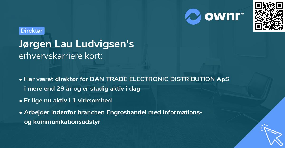 Jørgen Lau Ludvigsen's erhvervskarriere kort
