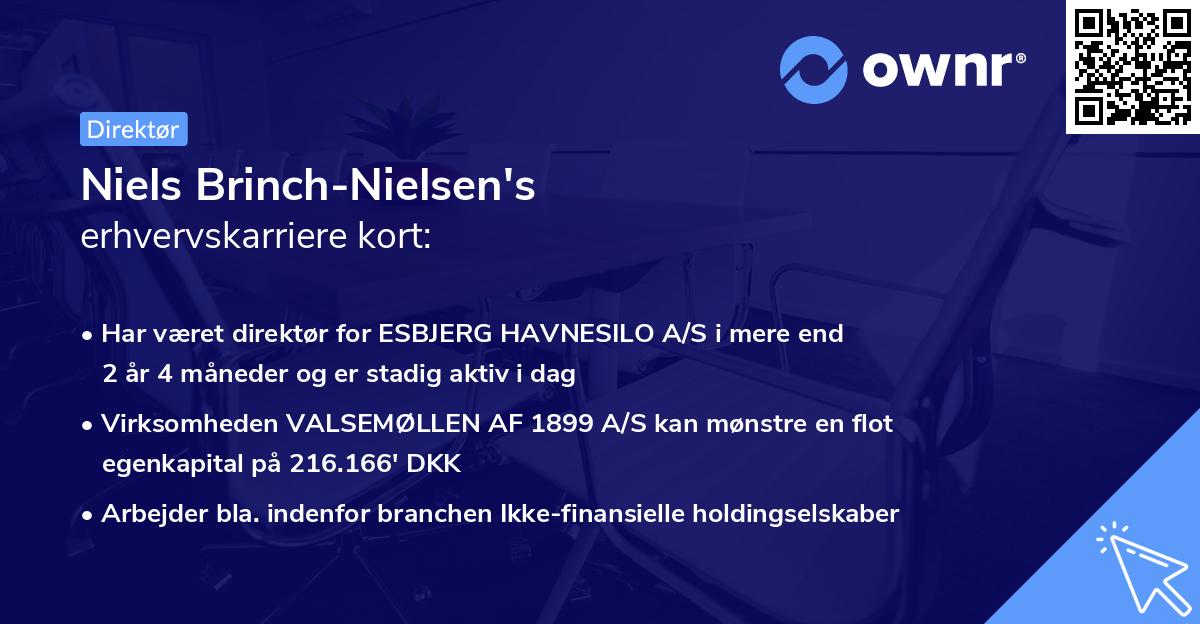 Niels Brinch-Nielsen's erhvervskarriere kort