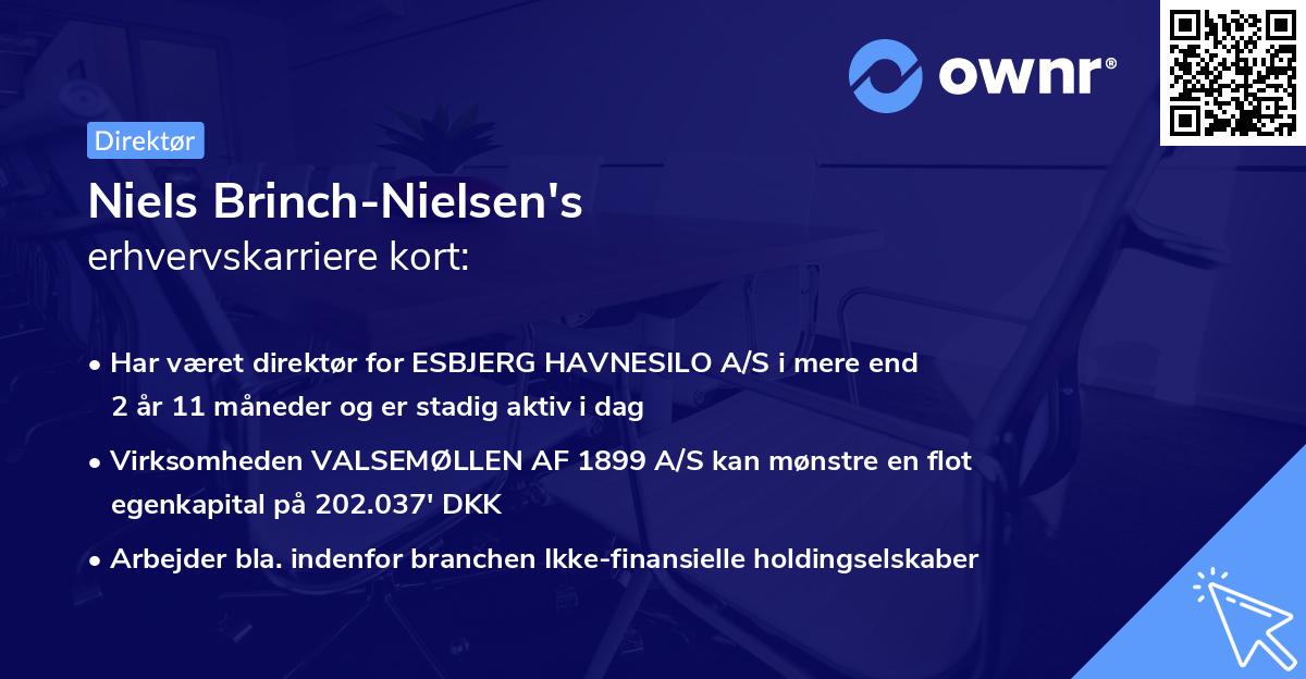 Niels Brinch-Nielsen's erhvervskarriere kort