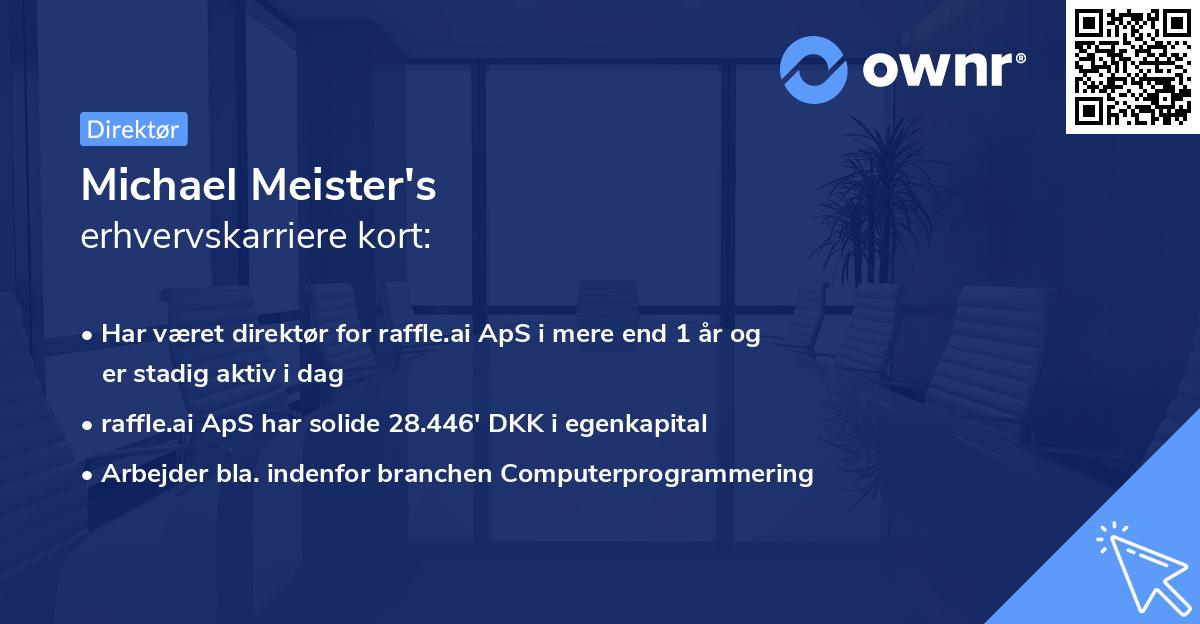 Michael Meister's erhvervskarriere kort