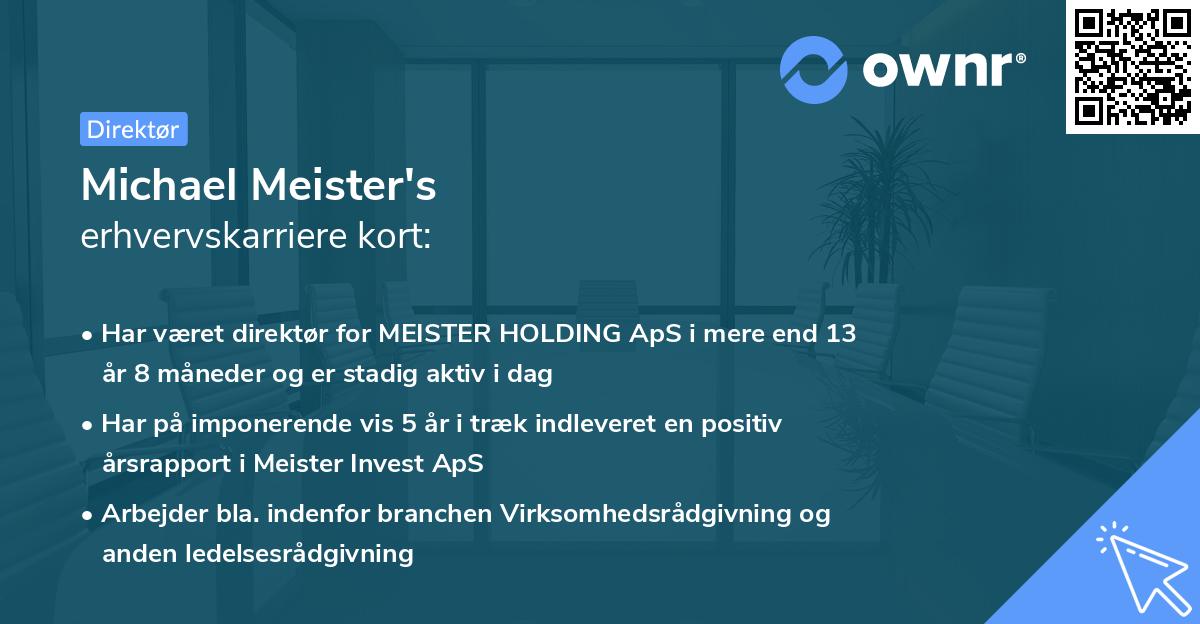Michael Meister's erhvervskarriere kort