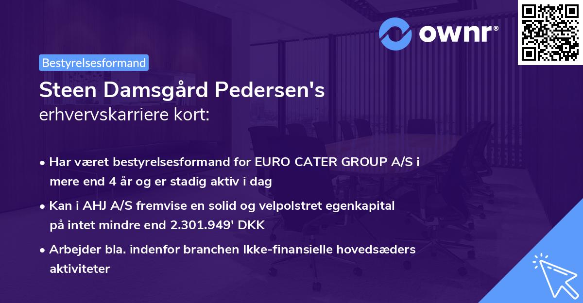 Steen Damsgård Pedersen's erhvervskarriere kort