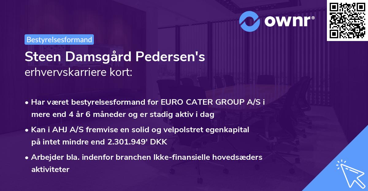 Steen Damsgård Pedersen's erhvervskarriere kort