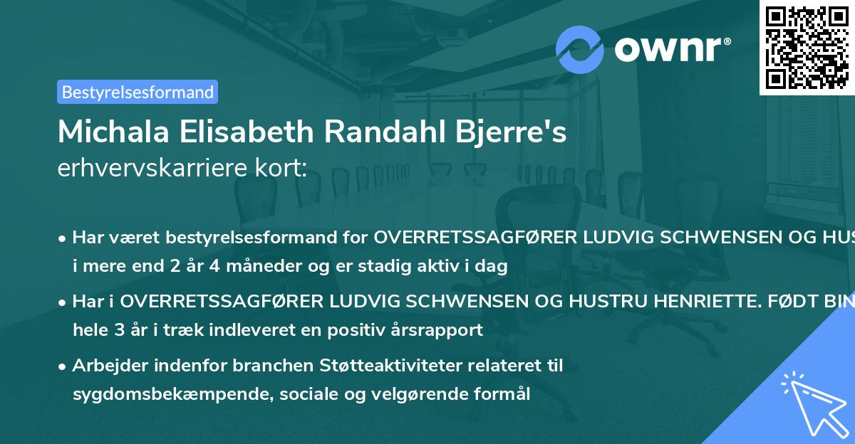 Michala Elisabeth Randahl Bjerre's erhvervskarriere kort