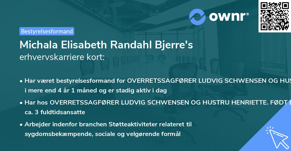 Michala Elisabeth Randahl Bjerre's erhvervskarriere kort