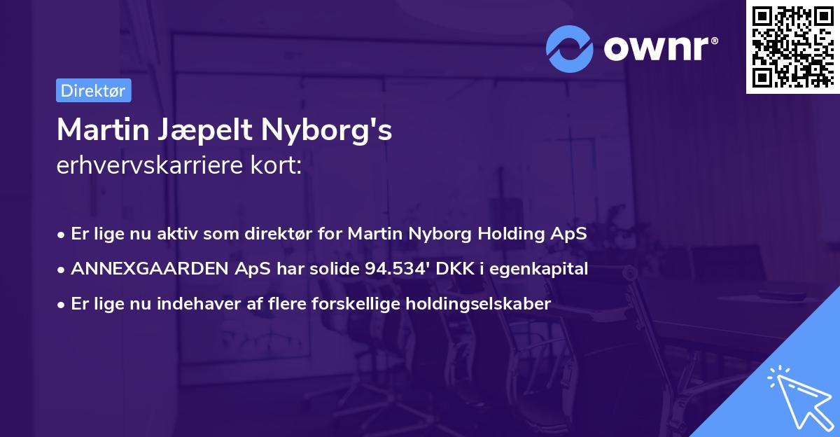 Martin Jæpelt Nyborg's erhvervskarriere kort