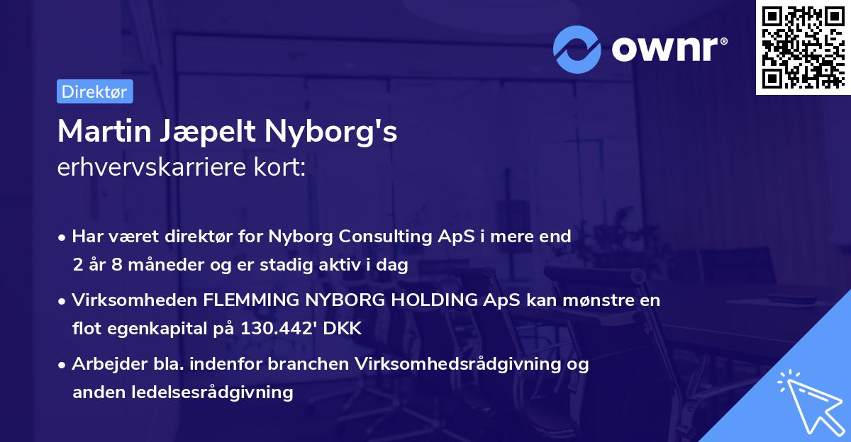 Martin Jæpelt Nyborg's erhvervskarriere kort