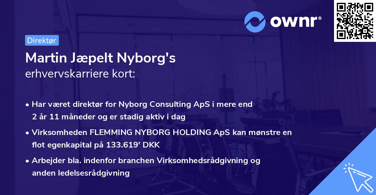 Martin Jæpelt Nyborg's erhvervskarriere kort