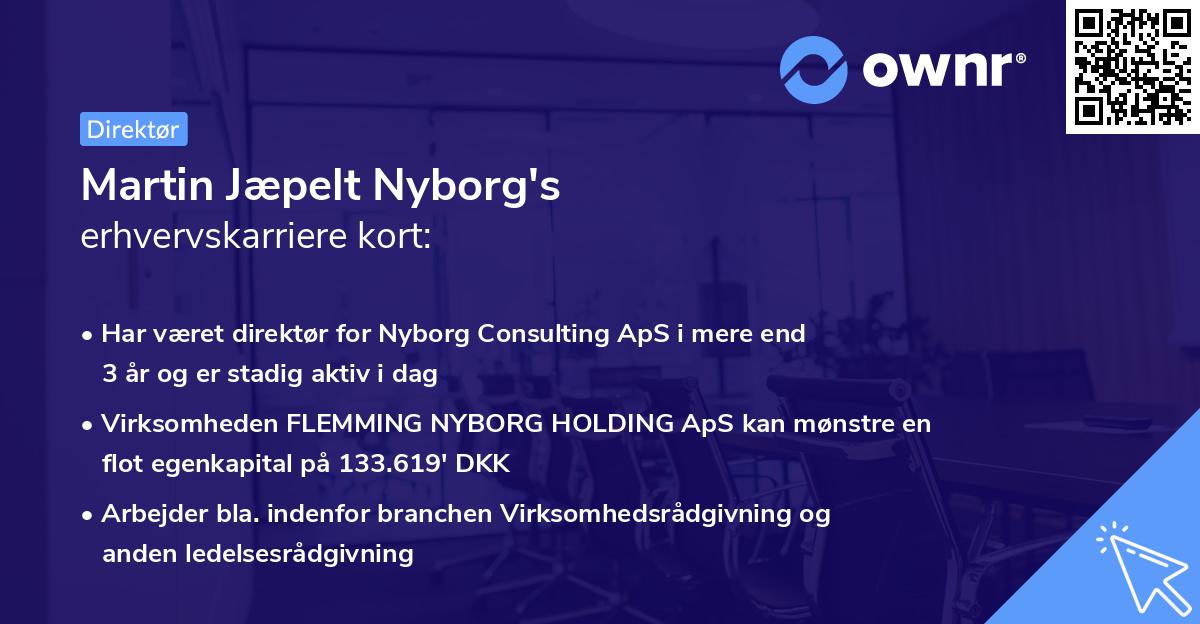 Martin Jæpelt Nyborg's erhvervskarriere kort