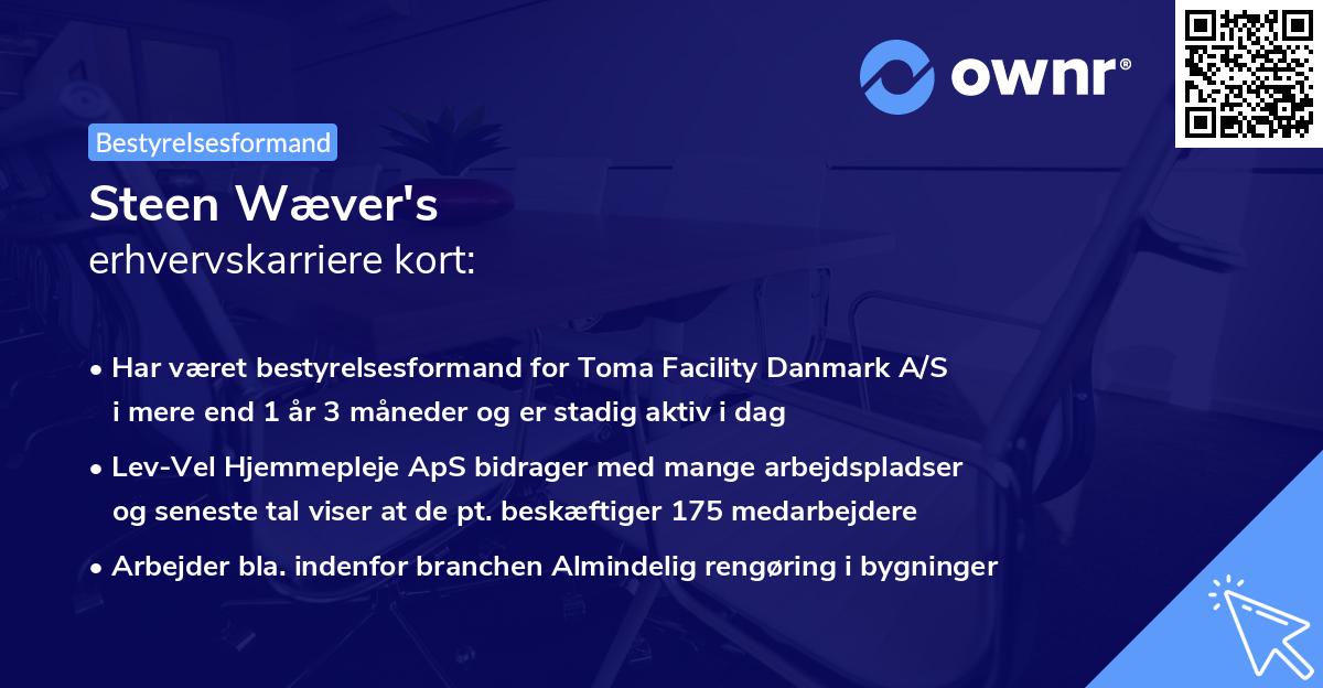 Steen Wæver's erhvervskarriere kort