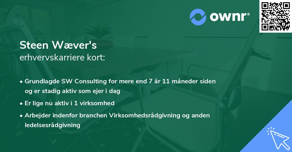 Steen Wæver's erhvervskarriere kort