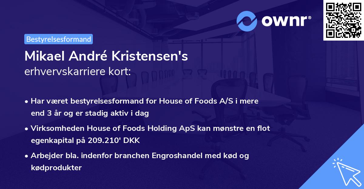 Mikael André Kristensen's erhvervskarriere kort