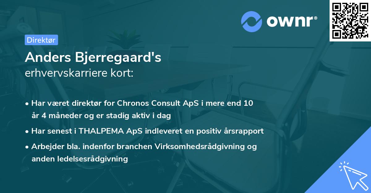 Anders Bjerregaard's erhvervskarriere kort
