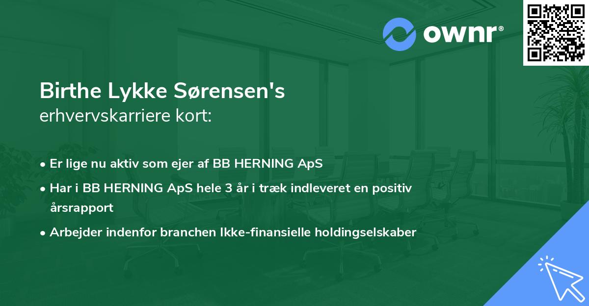 Birthe Lykke Sørensen's erhvervskarriere kort