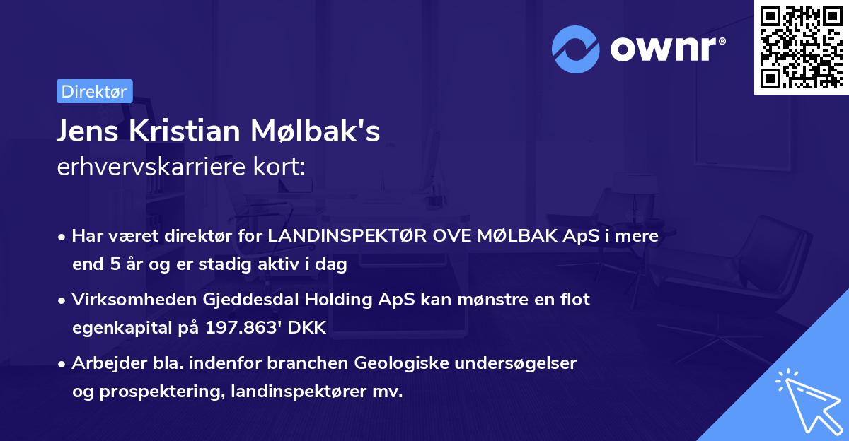 Jens Kristian Mølbak's erhvervskarriere kort