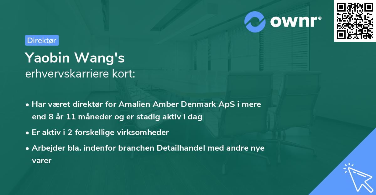 Yaobin Wang's erhvervskarriere kort