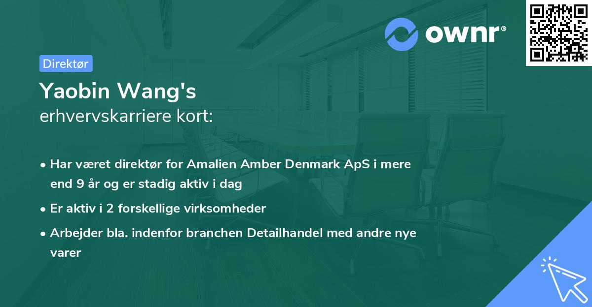 Yaobin Wang's erhvervskarriere kort