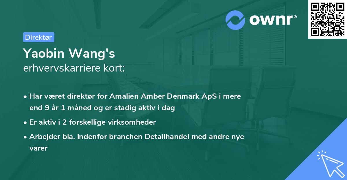 Yaobin Wang's erhvervskarriere kort