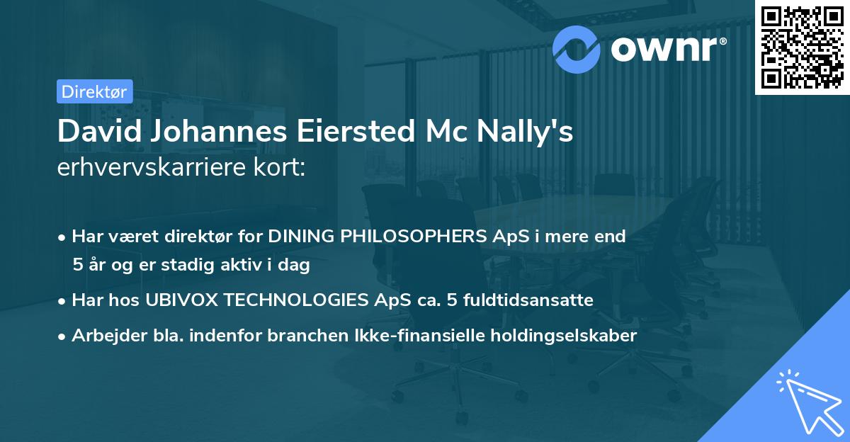 David Johannes Eiersted Mc Nally's erhvervskarriere kort