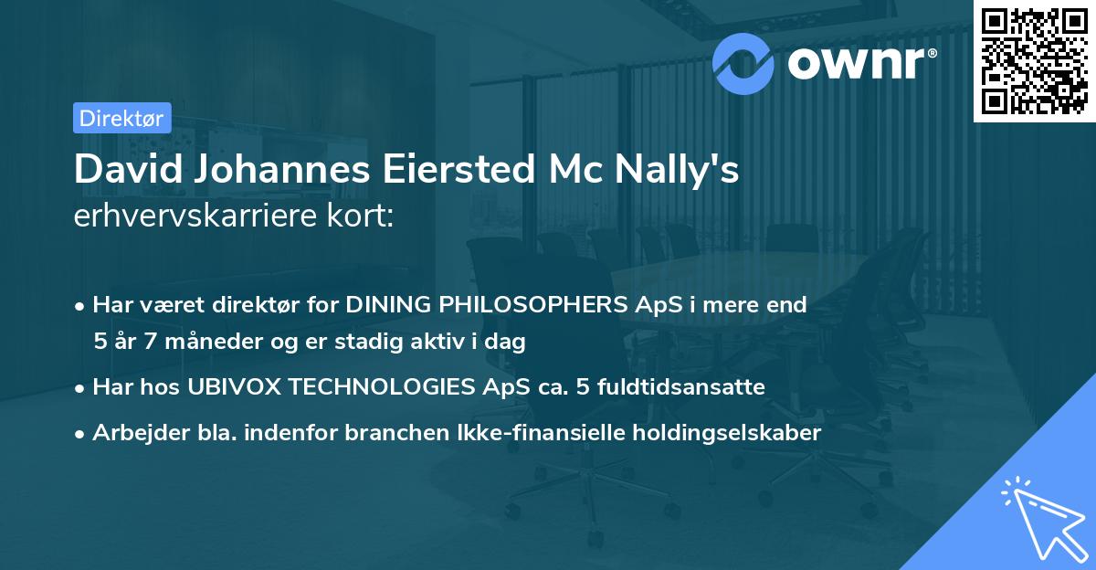 David Johannes Eiersted Mc Nally's erhvervskarriere kort