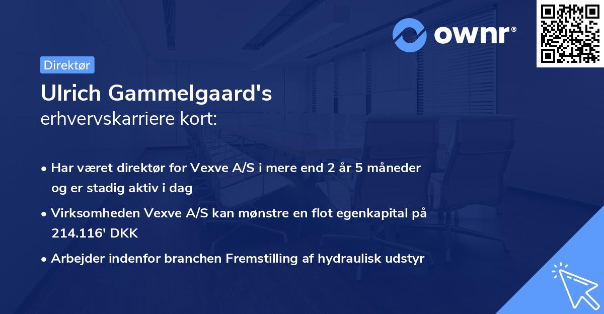 Ulrich Gammelgaard's erhvervskarriere kort