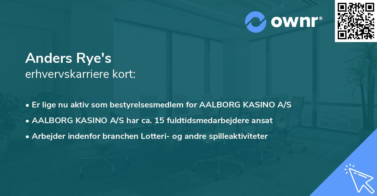 Anders Rye's erhvervskarriere kort