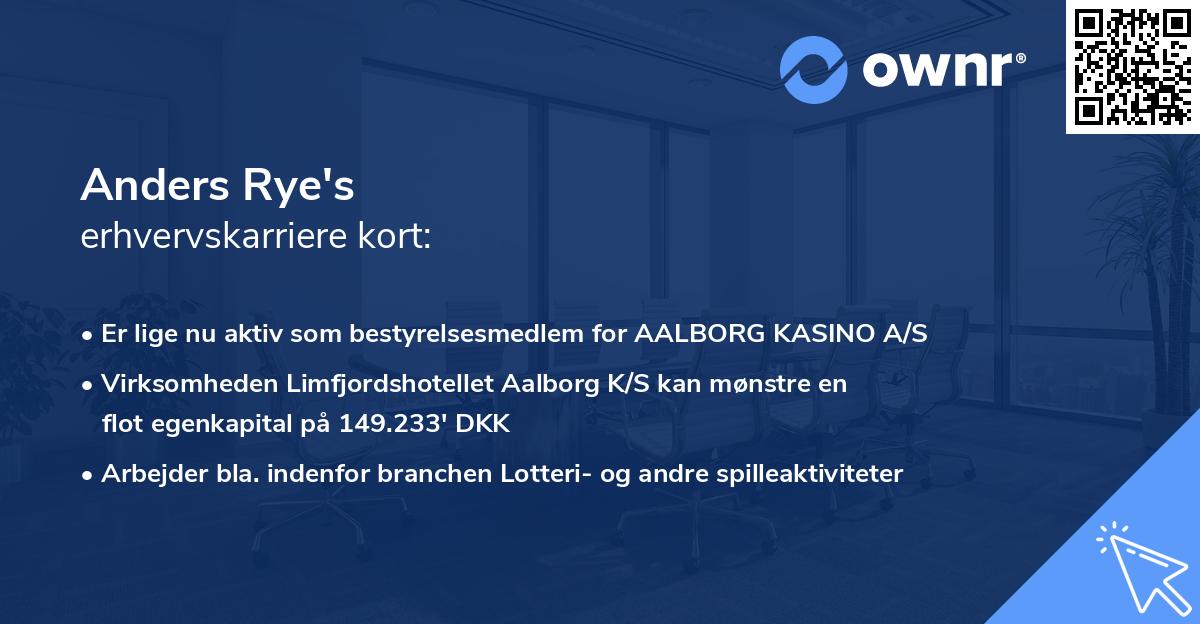 Anders Rye's erhvervskarriere kort