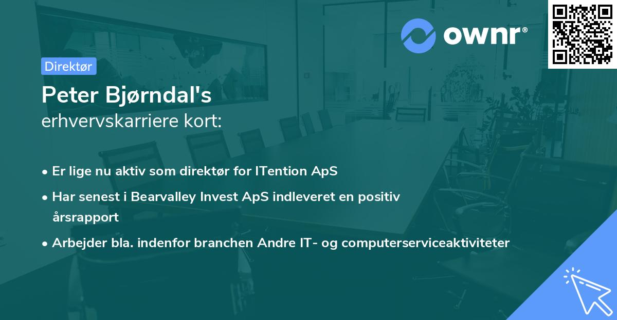 Peter Bjørndal's erhvervskarriere kort