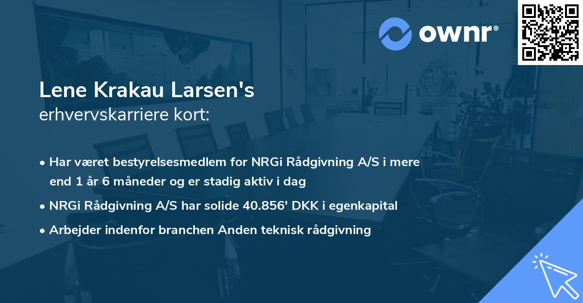 Lene Krakau Larsen's erhvervskarriere kort