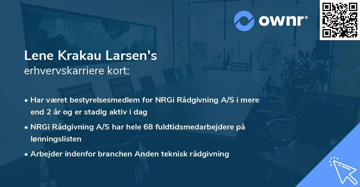 Lene Krakau Larsen's erhvervskarriere kort