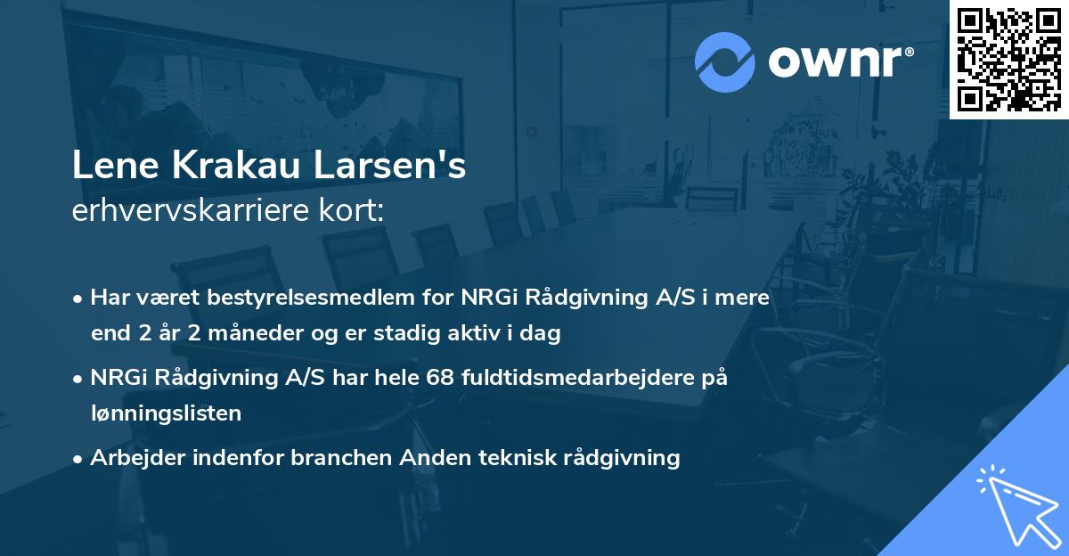 Lene Krakau Larsen's erhvervskarriere kort