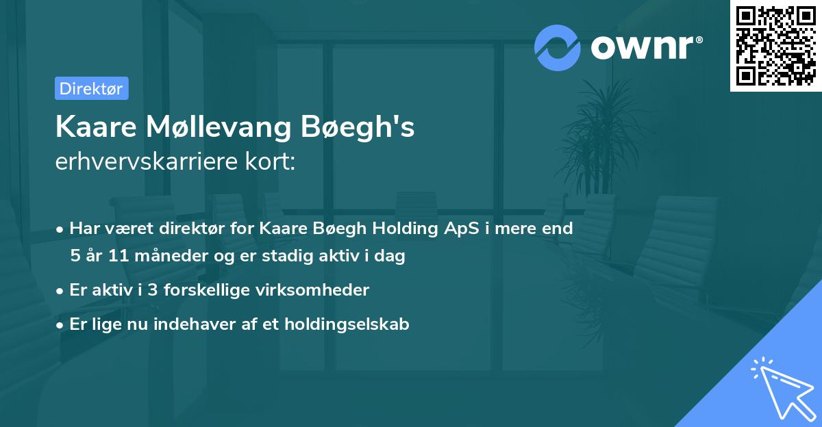 Kaare Møllevang Bøegh's erhvervskarriere kort