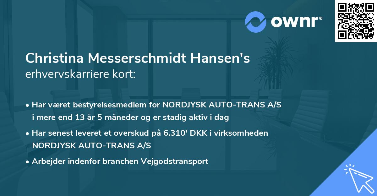 Christina Messerschmidt Hansen's erhvervskarriere kort
