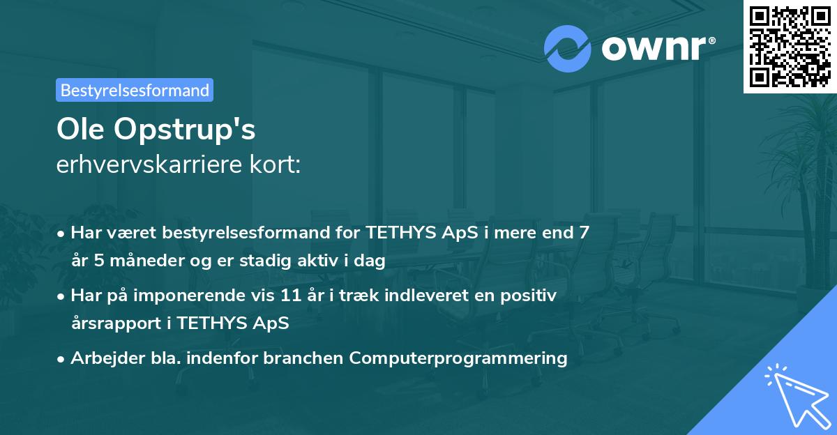 Ole Opstrup's erhvervskarriere kort