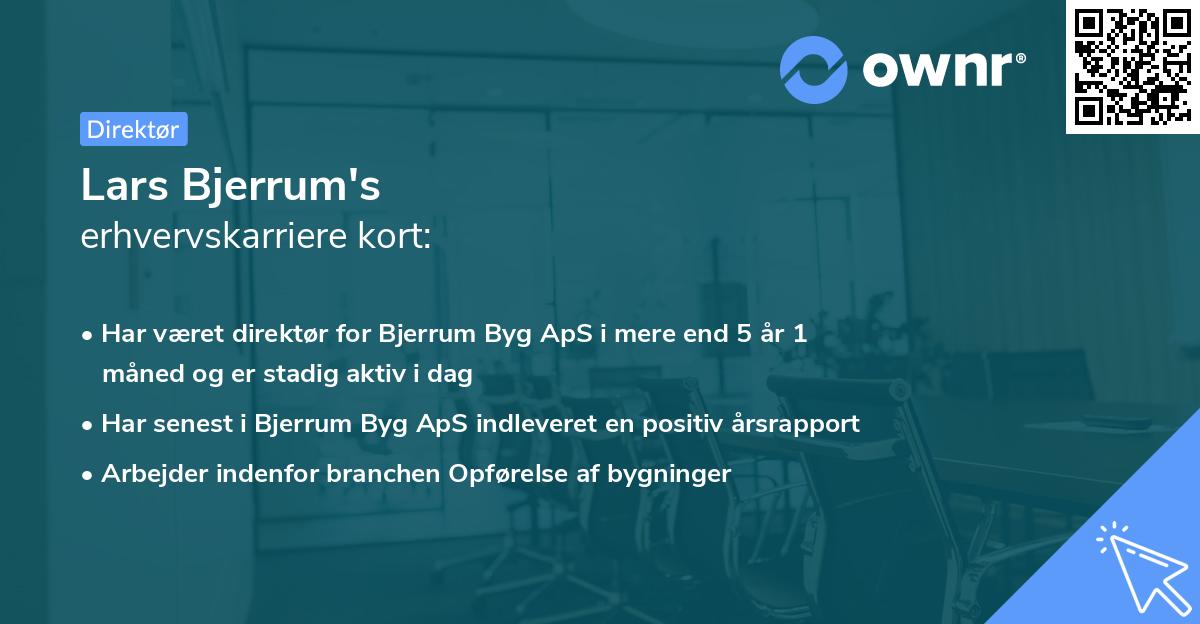 Lars Bjerrum's erhvervskarriere kort