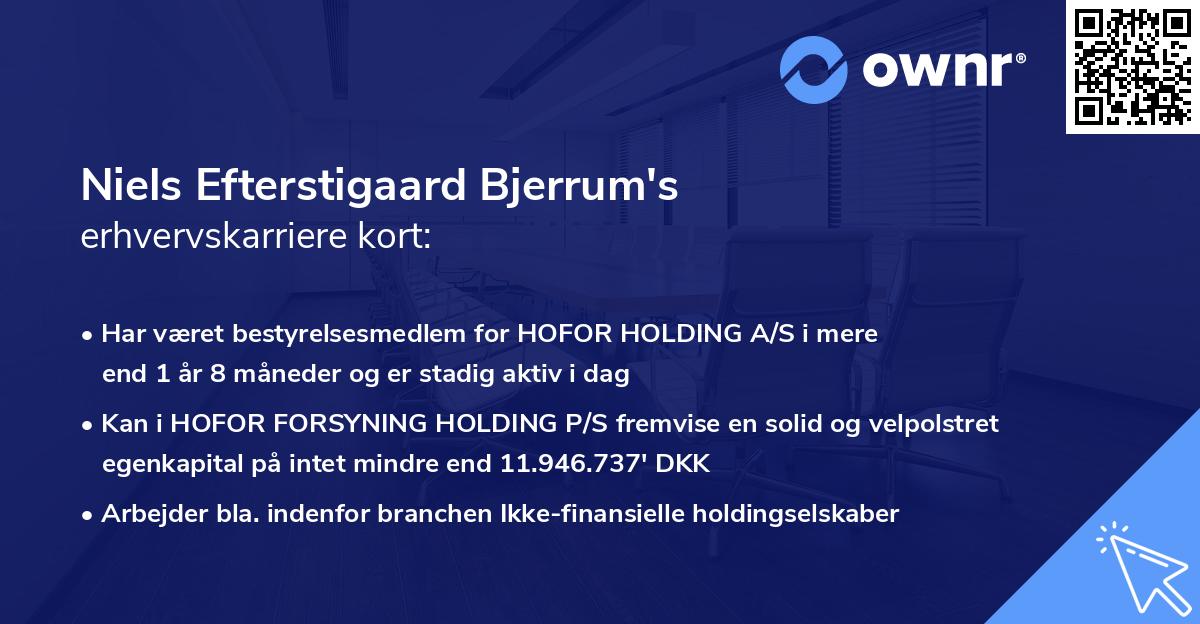 Niels Efterstigaard Bjerrum's erhvervskarriere kort